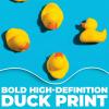 Fun Express 72″ x 72″ Bright Blue and Yellow Rubber Ducks Photobooth Backdrop, Polyester, Baby Shower Birthday Party