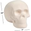 Fun Express DIY Ceramic Skull – Halloween Crafts for Kids & Adults | Unpainted Bisque Ceramics to Paint | Professional-Grade Halloween Painting Kit for Home Decor & Arts Projects