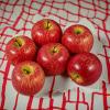 Fun Express Foam Decorative Apples – Home Decor – 6 Pieces