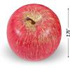 Fun Express Foam Decorative Apples – Home Decor – 6 Pieces