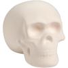 Fun Express DIY Ceramic Skull – Halloween Crafts for Kids & Adults | Unpainted Bisque Ceramics to Paint | Professional-Grade Halloween Painting Kit for Home Decor & Arts Projects