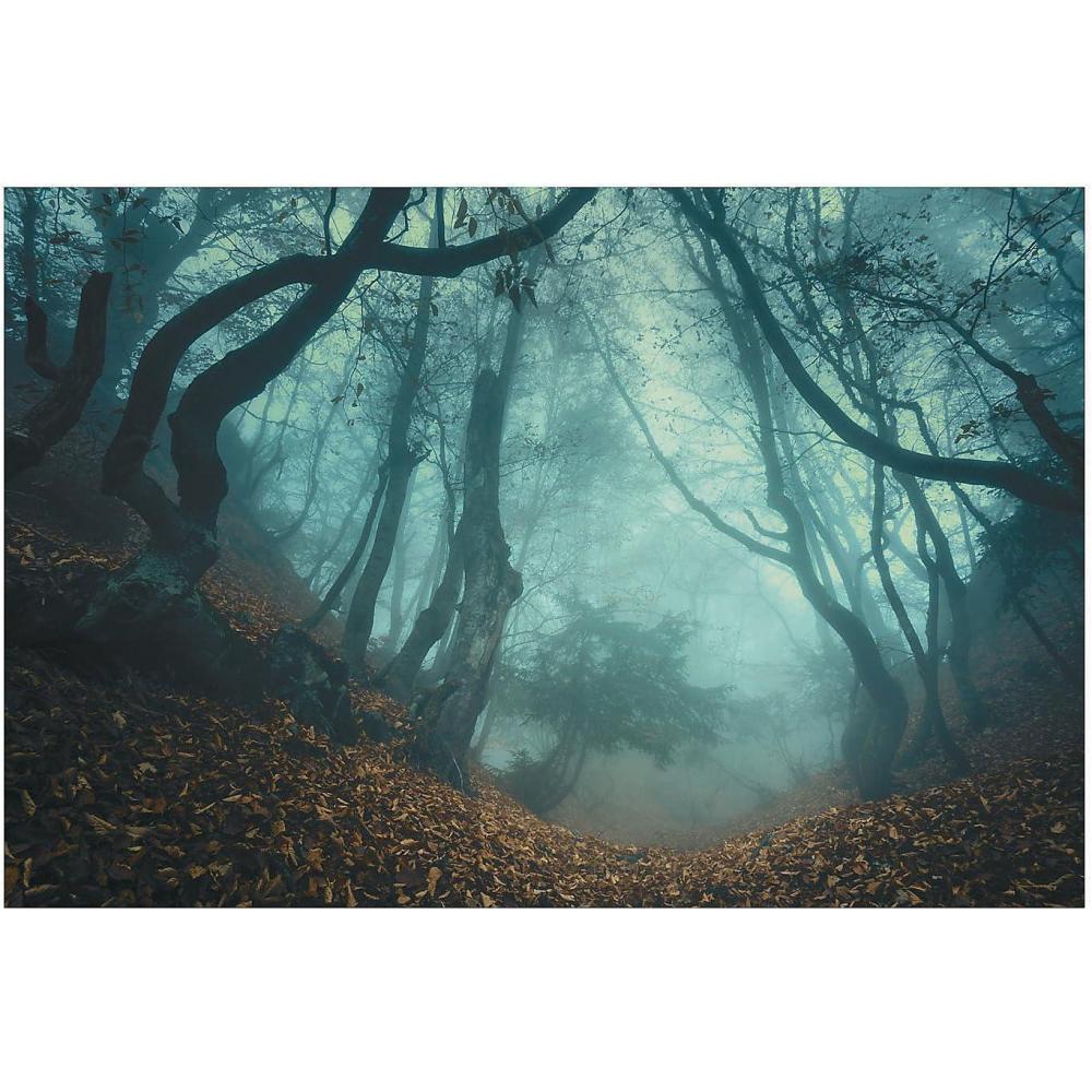 image:imageHaunted Forest Backdrop Halloween Decoration  9 ft x 6 ft  Plastic  Multicolor  Pack of 3