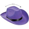 Fun Express Purple Cowboy Hat for Men and Women – Western Cowgirl Hat for Adults | Perfect for Halloween Costume, Country Parties, Rodeo Events & Dress Up Play | Lightweight Polyester Design