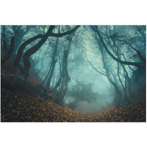 Haunted Forest Backdrop Halloween Decoration – 9 ft. x 6 ft | Plastic – Multicolor | Pack of 3