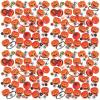 Fun Express 2 1/4″ Bulk 1440 Pieces Toy-Filled Black & Orange Plastic Jack-O’-Lanterns