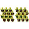 Fun Express Sea Turtle Bubble Bottles – Party Favor Toys – VBS Vacation Bible School Supplies/Decor – 12 Pieces(Medium (Pack of 2))