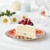 Fun Express 7 1/4″ Way to Go Grad Disposable Paper Dessert Plates – 25 Ct. – Great for Graduation Parties For School and College (Silver)(Orange)