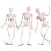 Fun Express Halloween Stretchy Skeletons – 12 Pack