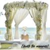 Fun Express Gold Buffet Risers (Wood set of 3) Great for Weddings, Home Decor and Accessories