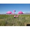 Fun Express Mini Pink Flamingo Lawn Ornaments (2 Pieces, 8″ with 12″ Stakes) Lawn Decor, Unique and Quirky Home Decor & Gifts, Party Decorations