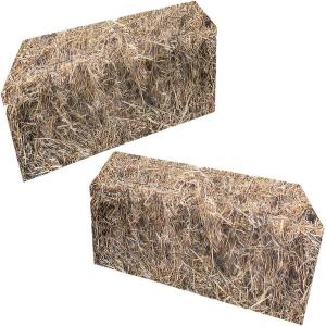 Fun Express Flat Hay Bale Stand-Ups for Christmas – Holiday Party Decor Floor Displays & Festive Celebrations – Ideal Christmas Parties & Holiday Décor – Perfect for Indoor & Outdoor Use – 2 Pieces