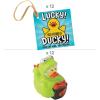 Halloween Lucky Ducky Kit Assortment May Vary
