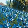 Fun Express Colorful Pinwheels Bulk Set of 36 – Blue and Silver Spinning Pinwheel Toys for Kids Birthday Party Decorations | Garden Party Favors for Outdoor Events, Graduations & Toddler Crafts