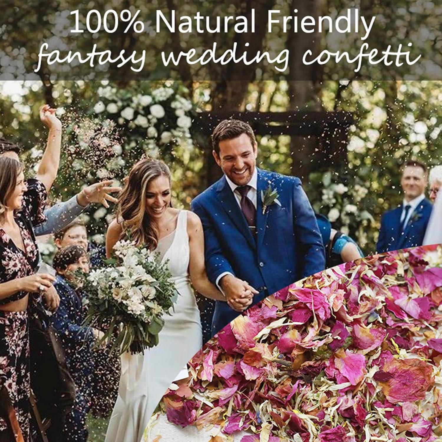 image1 Litre Confettis de Ptales de Mariage Naturels Jetant de Fleurs Sches de Rose Dcoration de Mariage1 Litre Confettis