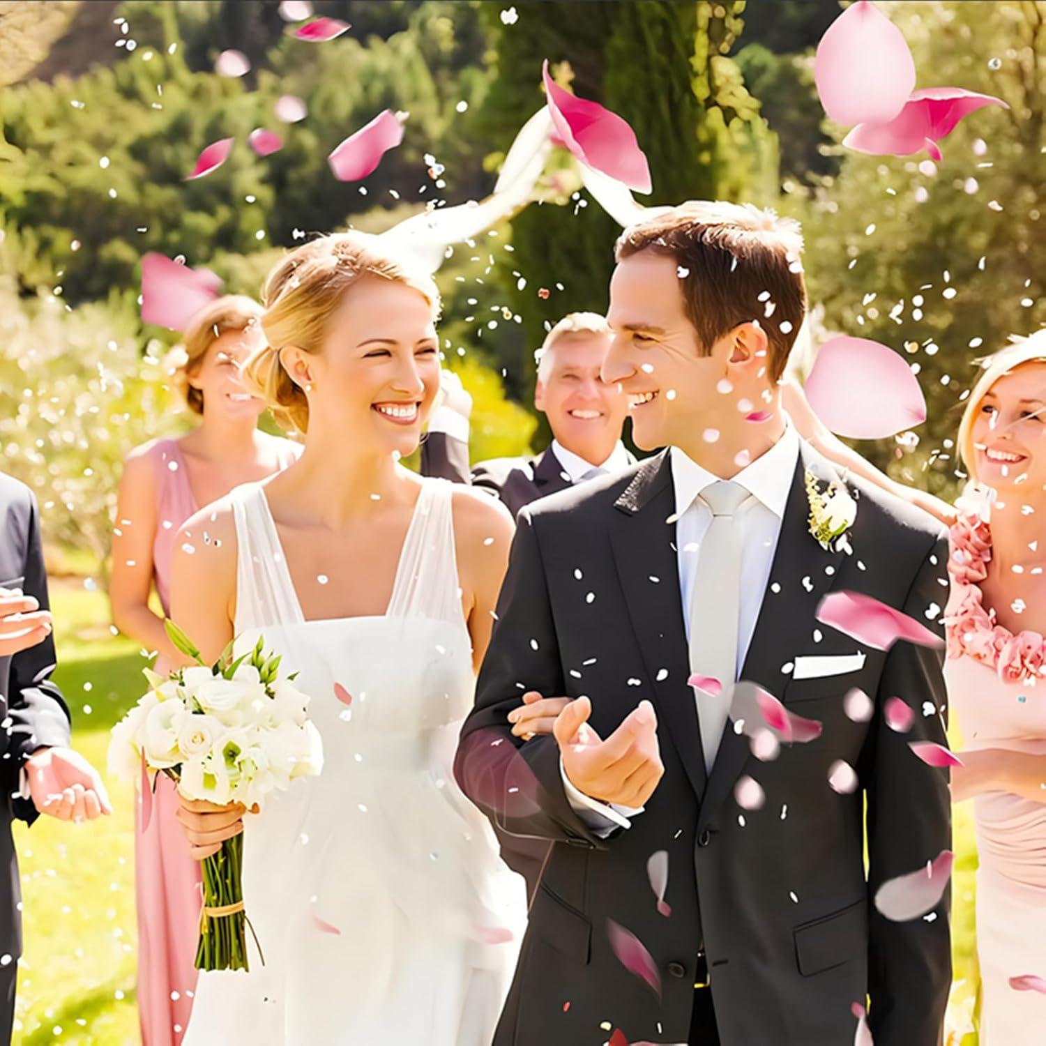 image1 Litre Confettis de Ptales de Mariage Naturels Jetant de Fleurs Sches de Rose Dcoration de MariageClassique