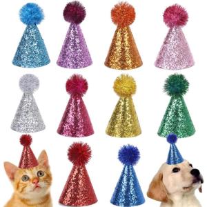 10 Pièces Chapeaux de Fête d&rsquo;anniversaire Mini de Fête en Feutre pour Enfants Poupées et Animaux Domestiques Coniques pour d&rsquo;anniversaire Party Cône Chapeaux