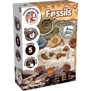 Science4you Kit Fouille de Bijoux – Découvrez Toutes les Perles Incroyable, Kit de Artisanat Pour Faire votre propre Bracelet de l&rsquo;Amitié, un Ensemble de Perles pour un Cadeau pour les Filles 6 7 8 9+(2. Kit de Fouille de fossiles)